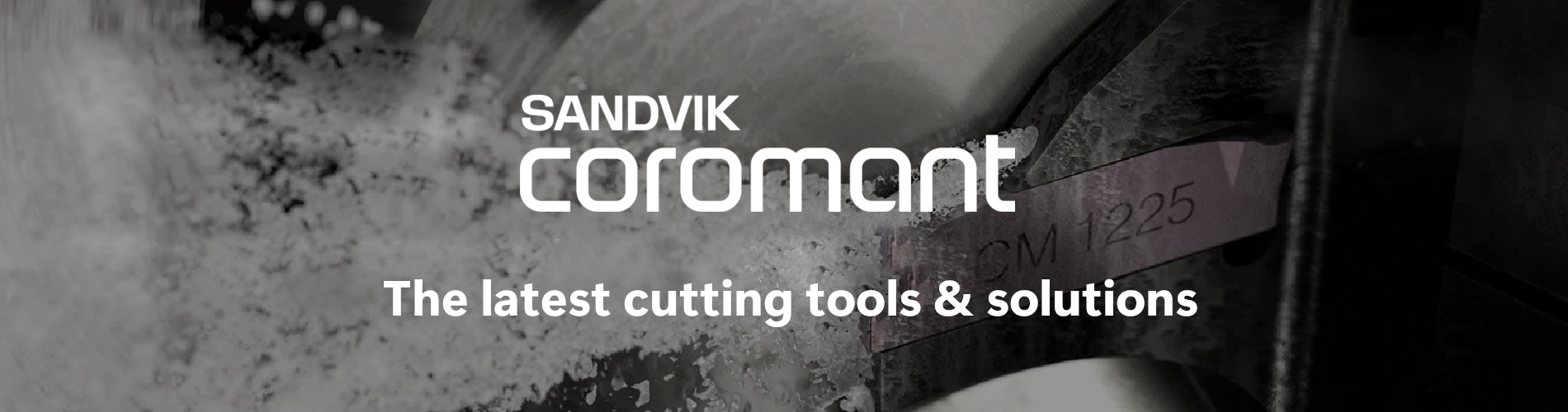 sandvik-banner-01